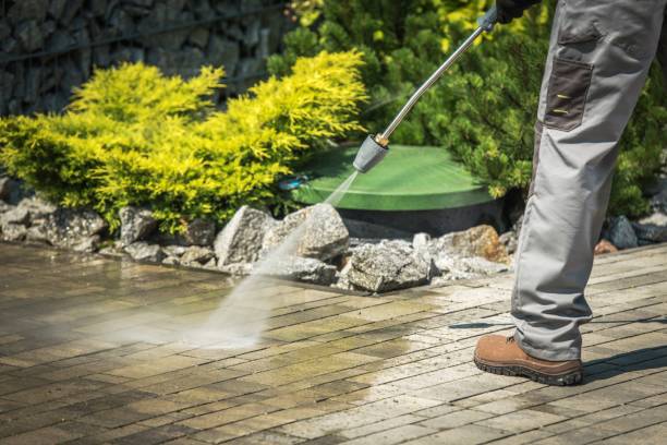 Best Fence Cleaning  in Flordell Hills, MO